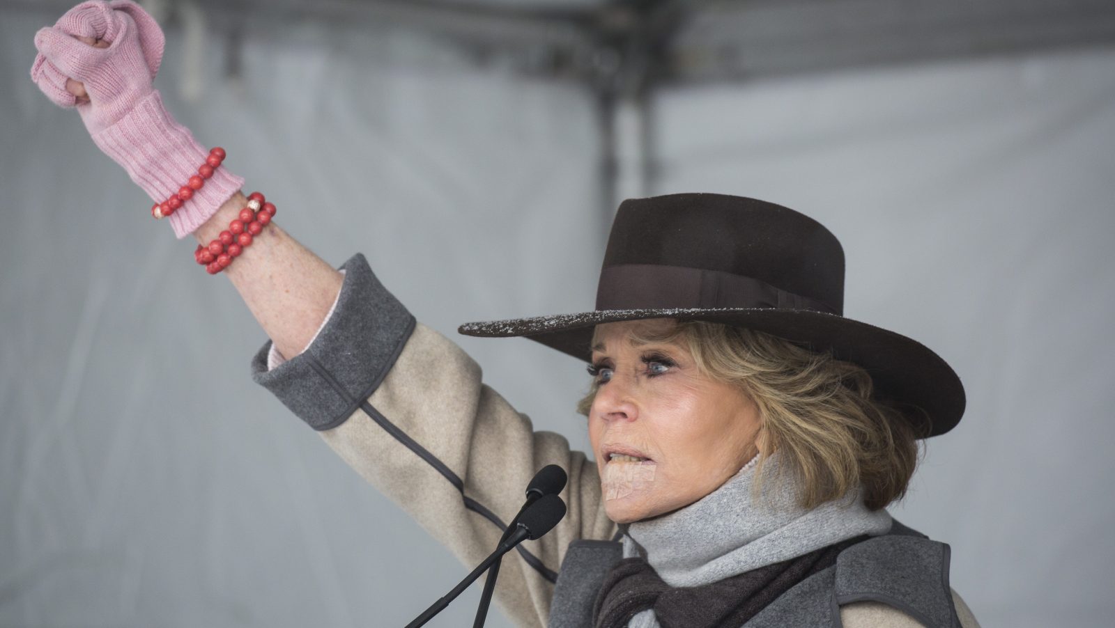 Jane Fonda Gets Arrested For Climate Protest Plans To Do It Again Grist   Gettyimages 908112826 E1570824997718 