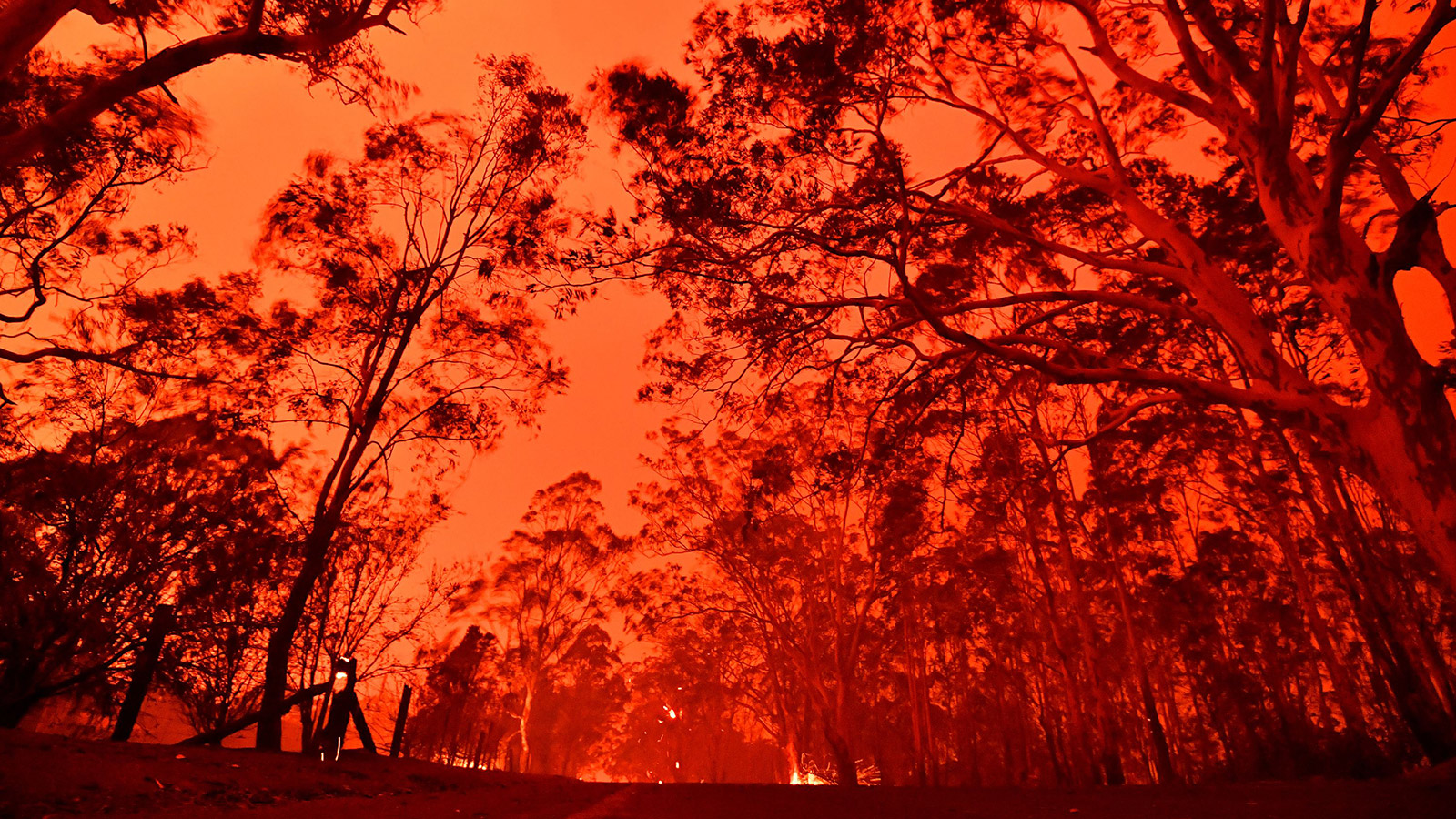 The afternoon sky glows red from bushfires in the area around the town of Nowra in the Australian state of New South Wales on December 31, 2019