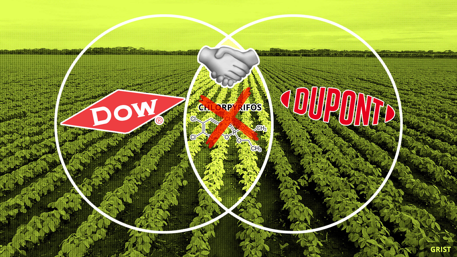 The wrong pesticide of history - Grist | Grist