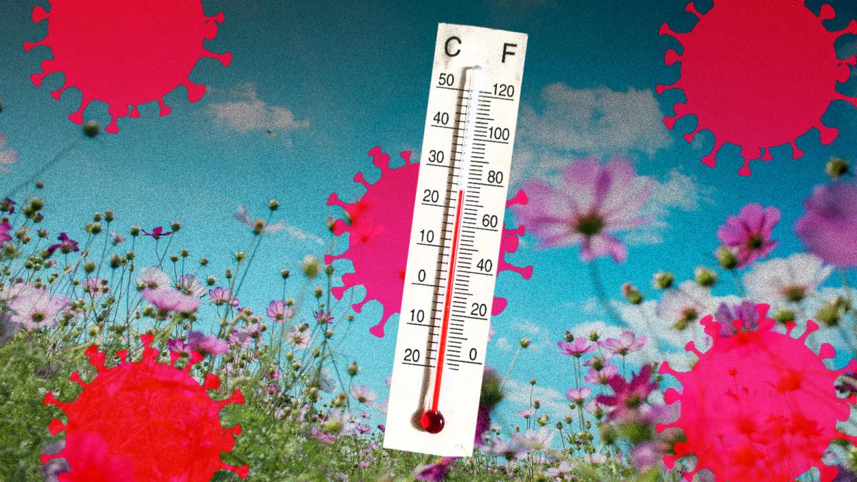 Fact or fiction? Warmer weather slows down the coronavirus | Grist