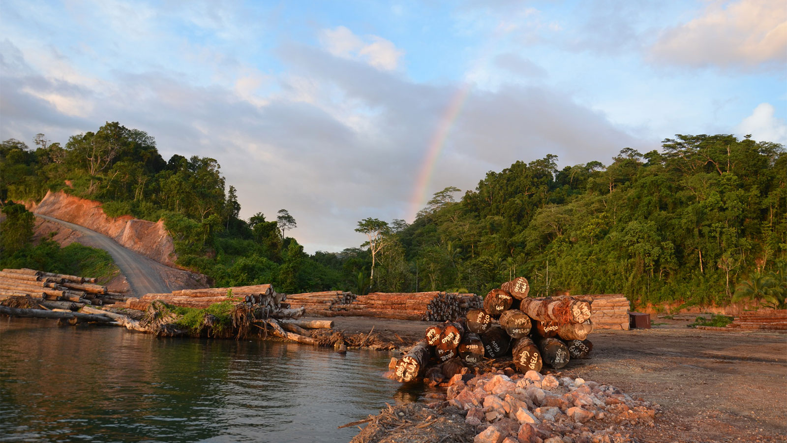 Who’s financing deforestation in Papua New Guinea? A new report follows