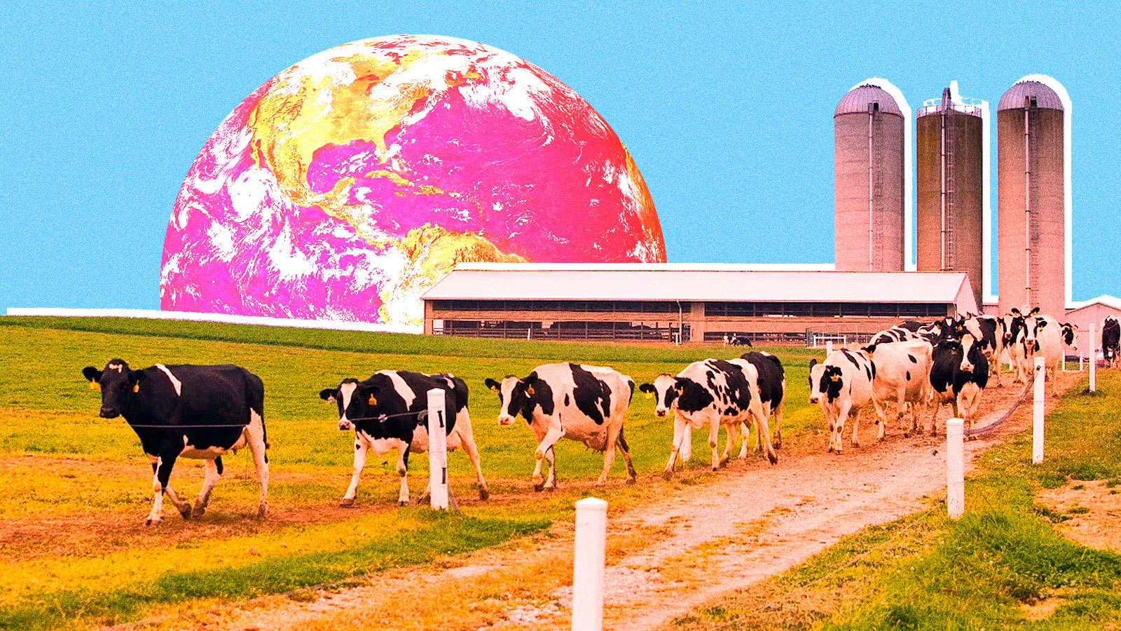 Don T Have A Cow But Big Dairy S Climate Footprint Is As Big As The Uk S Grist
