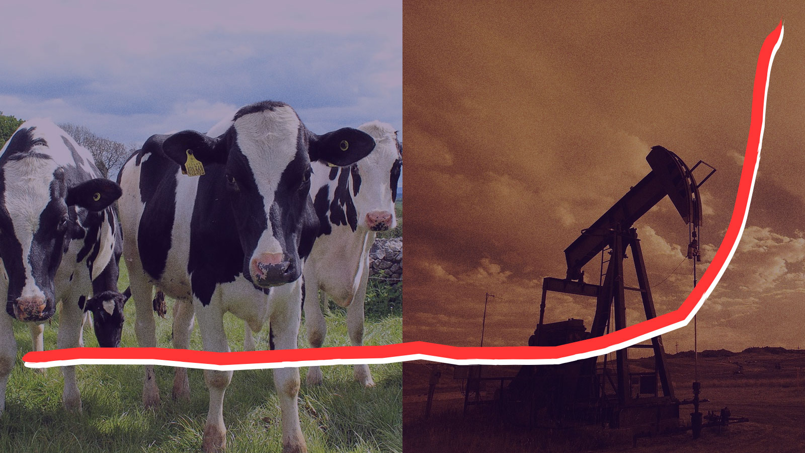 A split screen of cows and an oil jack pump with a line representing the rise of methane emissions