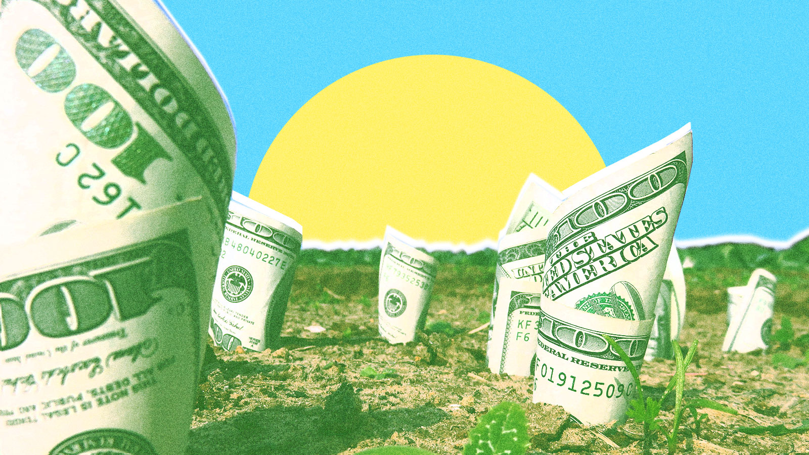 A field with one hundred dollar bills growing out of the ground to represent a green stimulus.