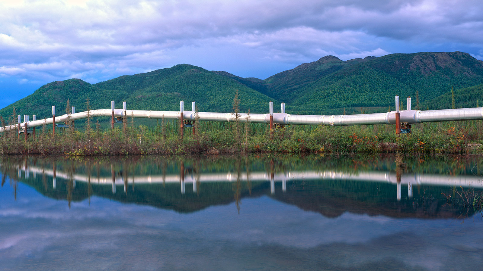 Trans-Alaska pipeline reflected in a pond