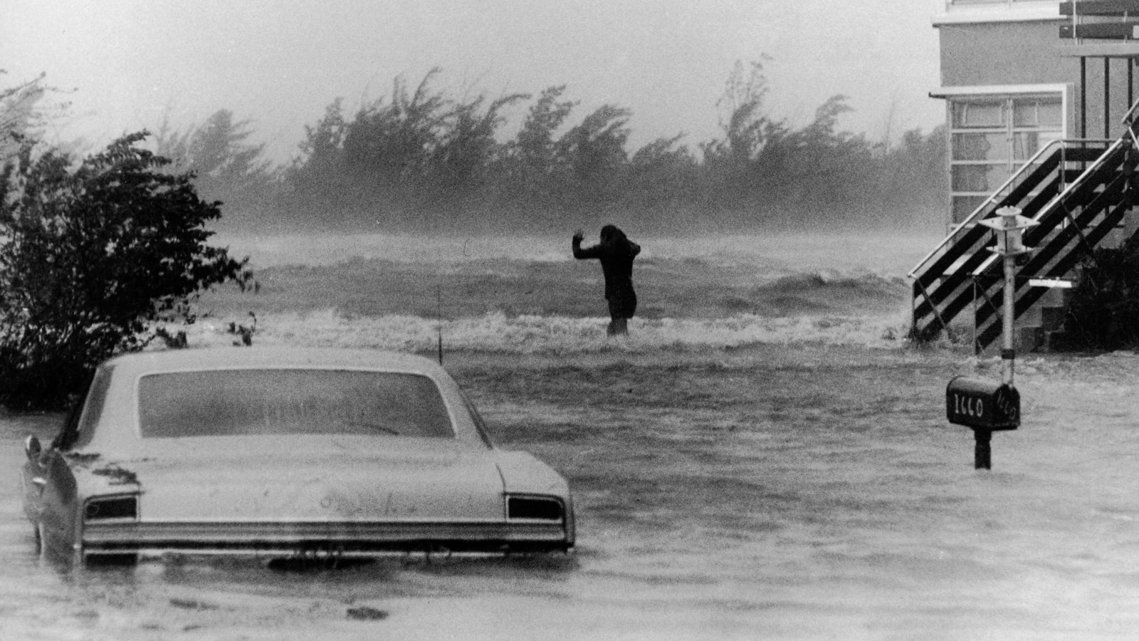 A black and white photo shows a submerged car and windblown trees as a distant figure braces against the wind.