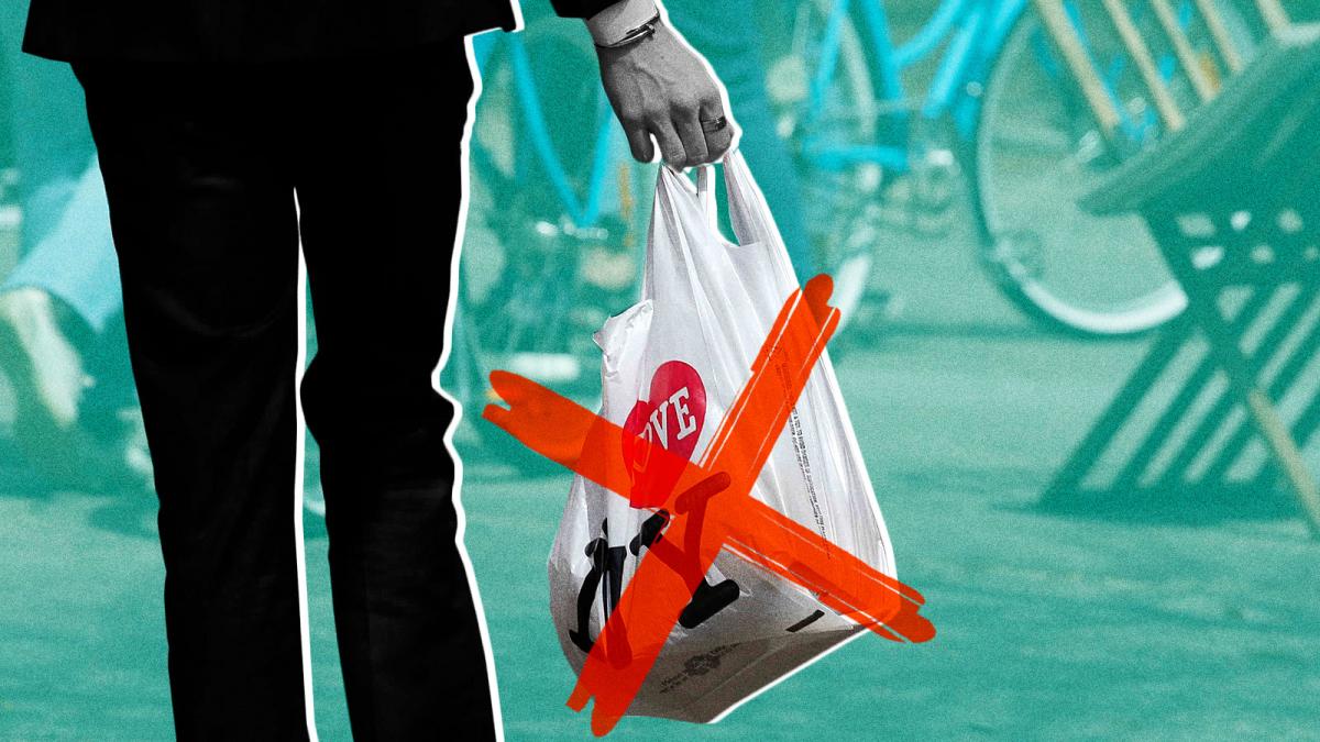 New York’s plastic bag ban has survived the pandemic | Grist