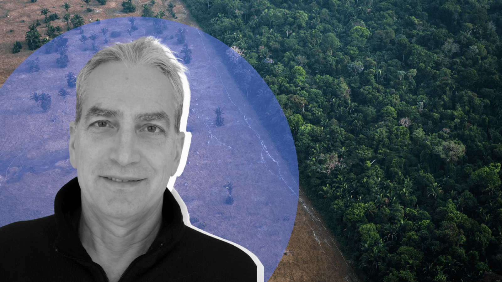 The cheapest climate solution? Return half of the planet to nature, this scientist says. thumbnail