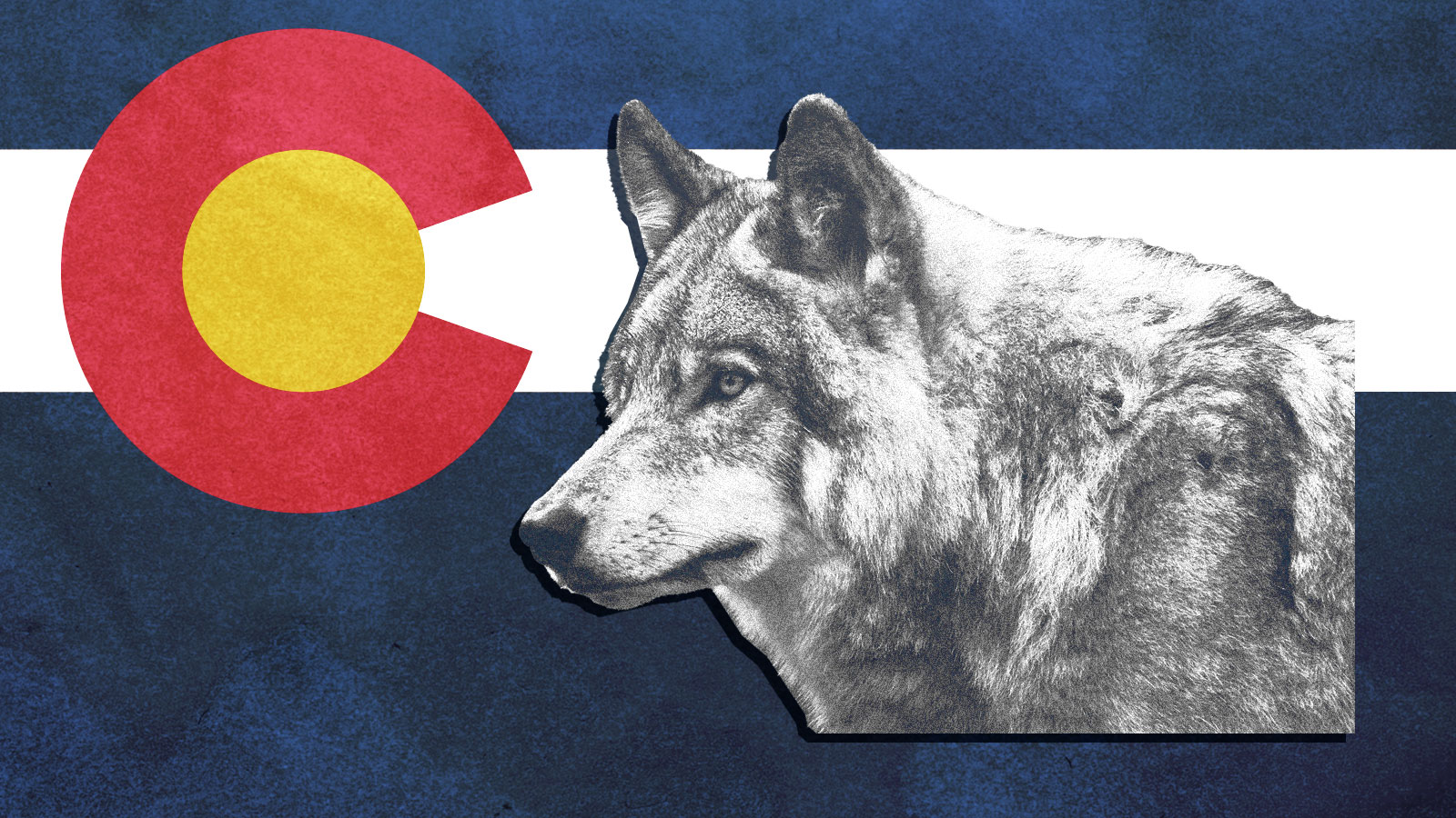 the Colorado flag with a wolf on it