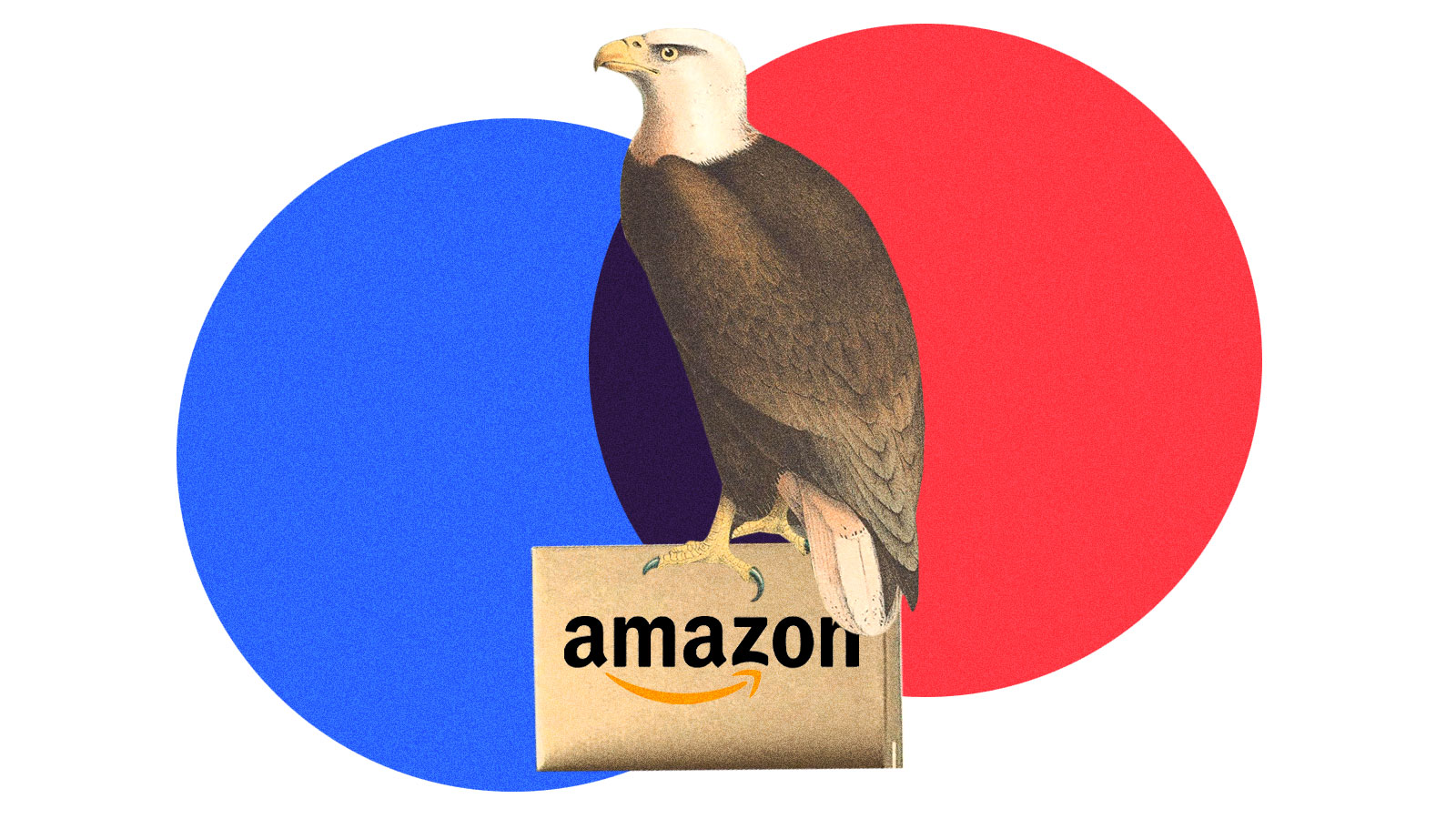 A bald eagle sitting on top of an Amazon package