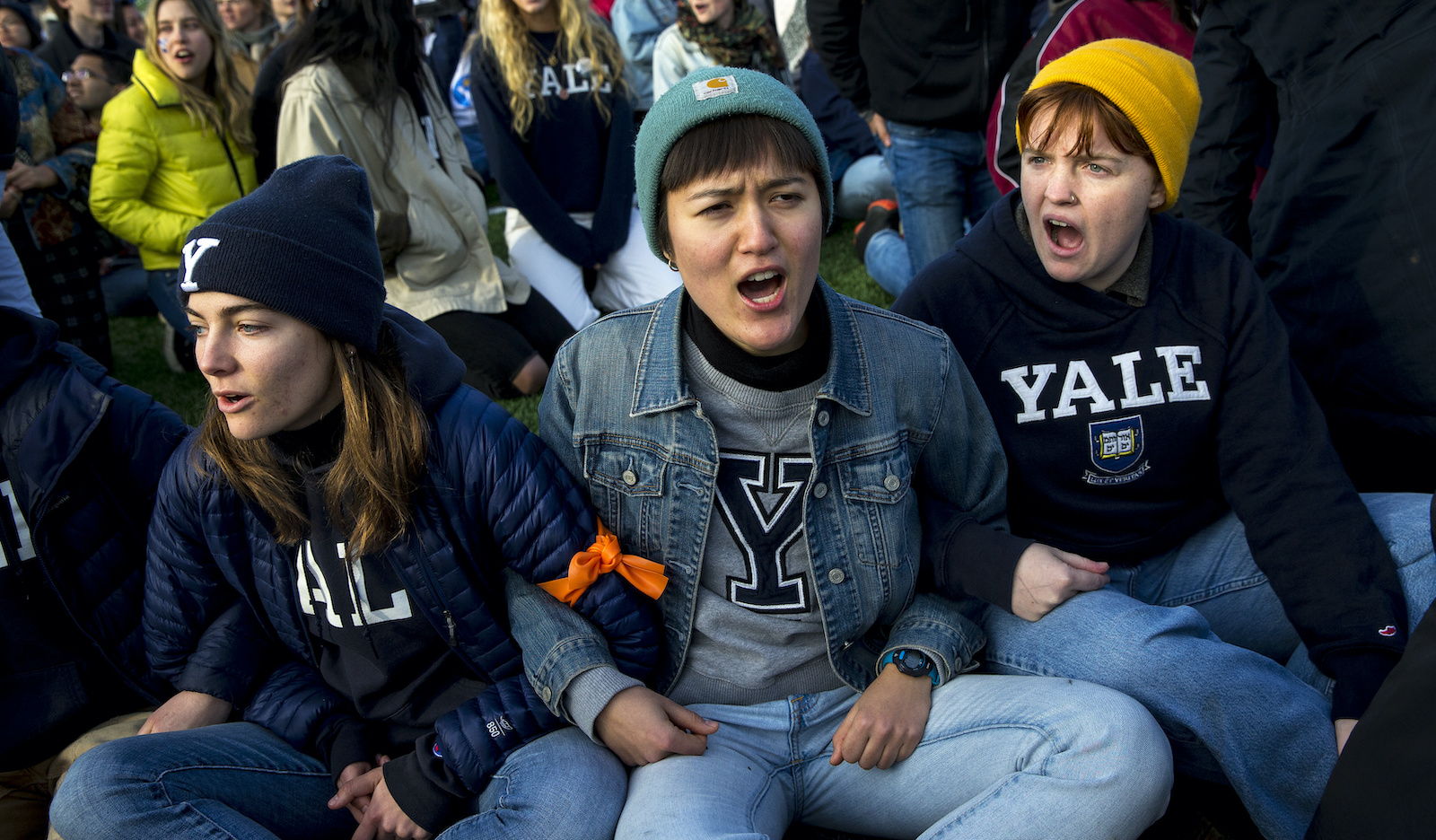 Harvard and Yale Students Protest for Divestment at Football Game