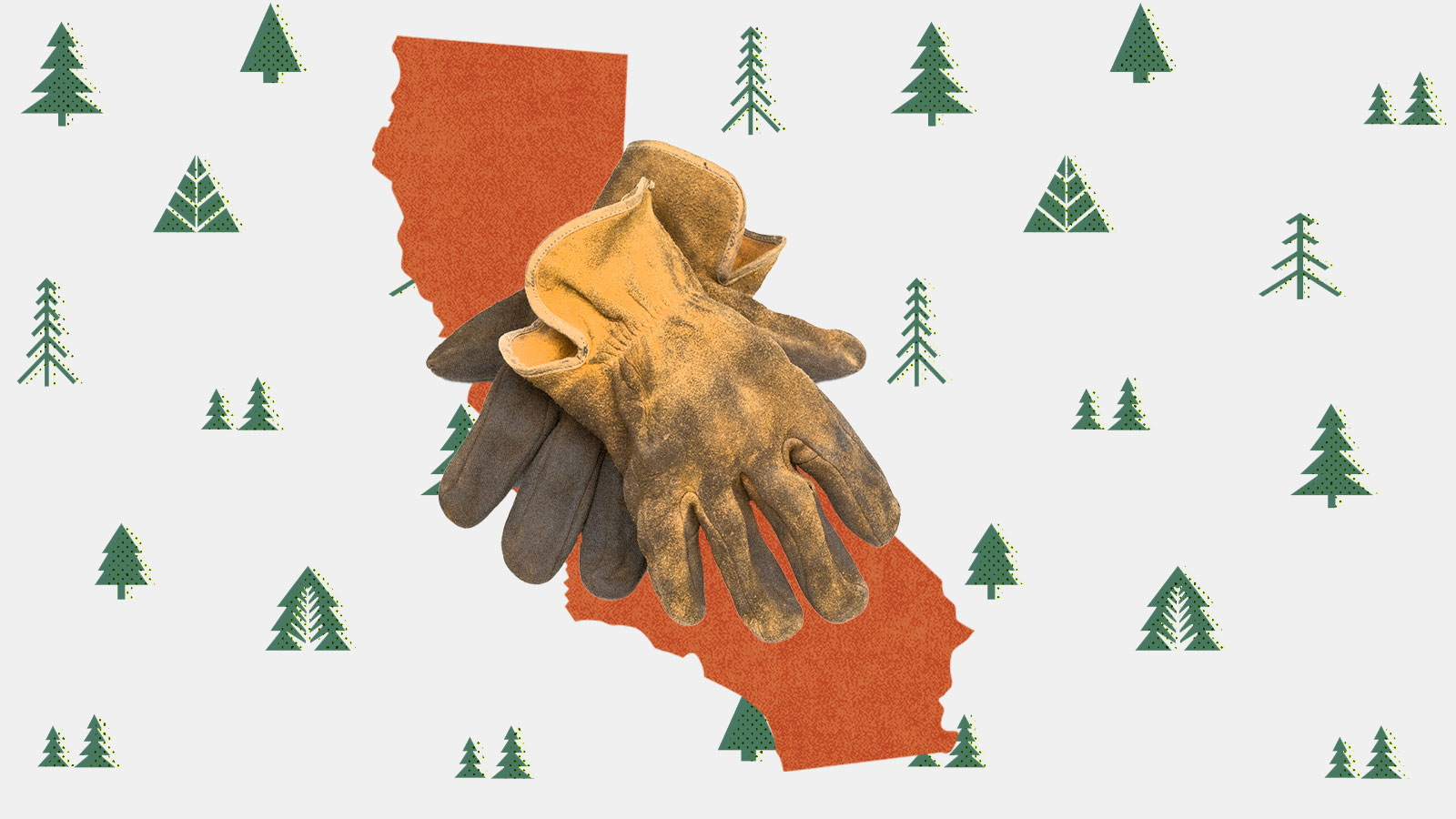 A photo collage of the silhouette of California with a pair of worn work gloves on top, and a background of illustrated conifer trees.