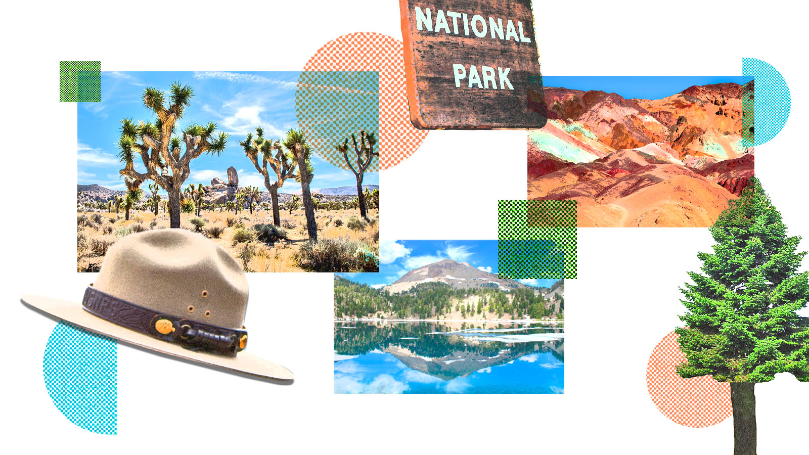 A photo collage of pictures of various national parks, with a national park sign, a ranger hat, and a fir tree.