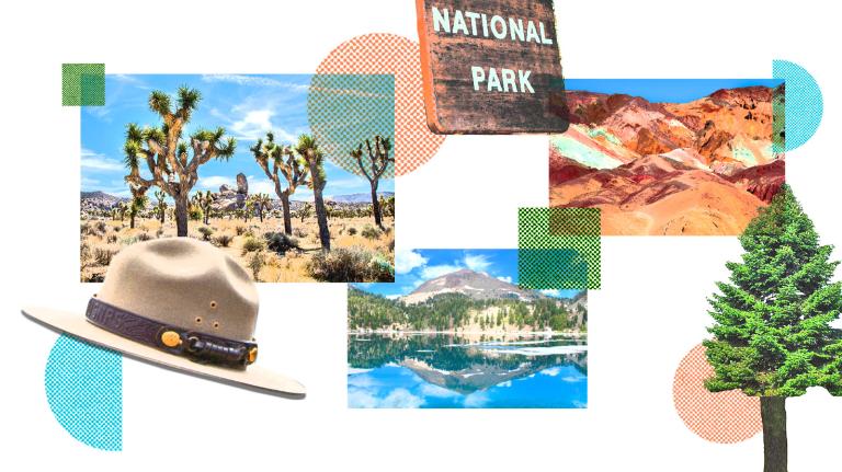 A photo collage of pictures of various national parks, with a national park sign, a ranger hat, and a fir tree.