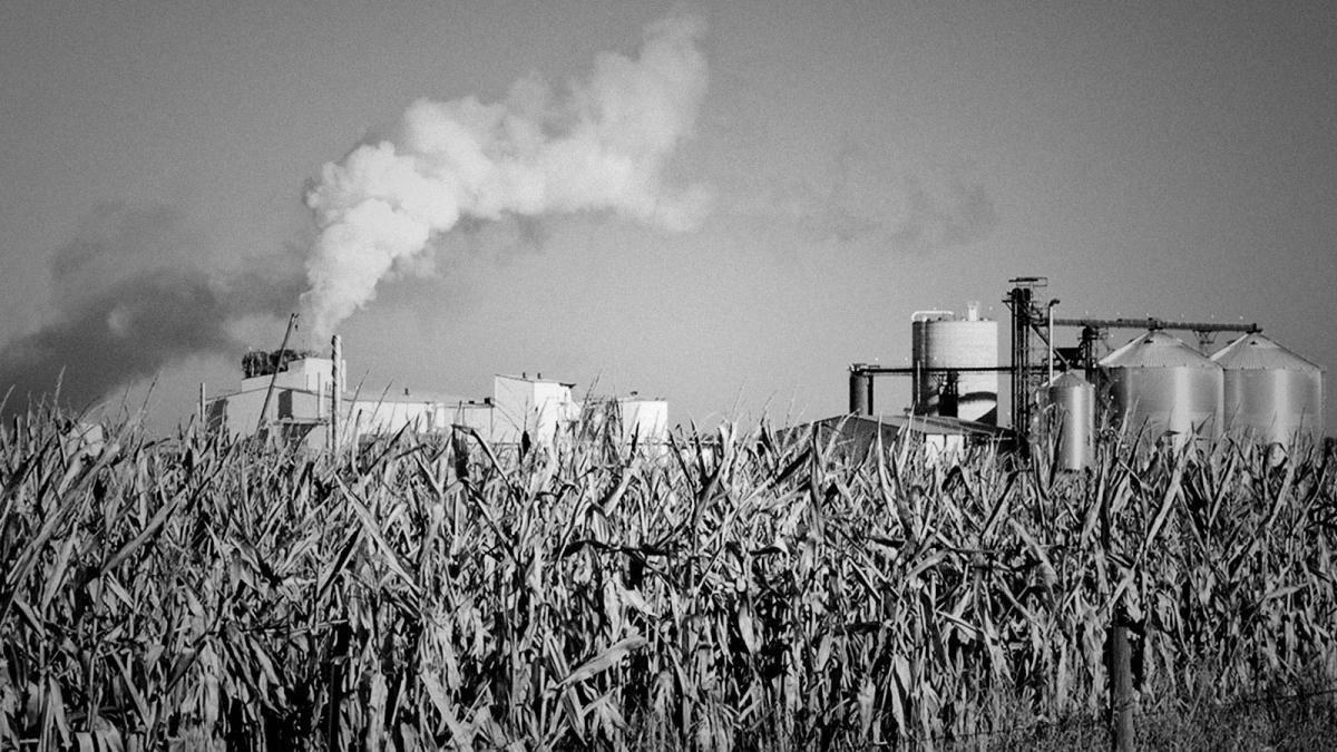A photograph of a field of corn in front of an ethanol plant.