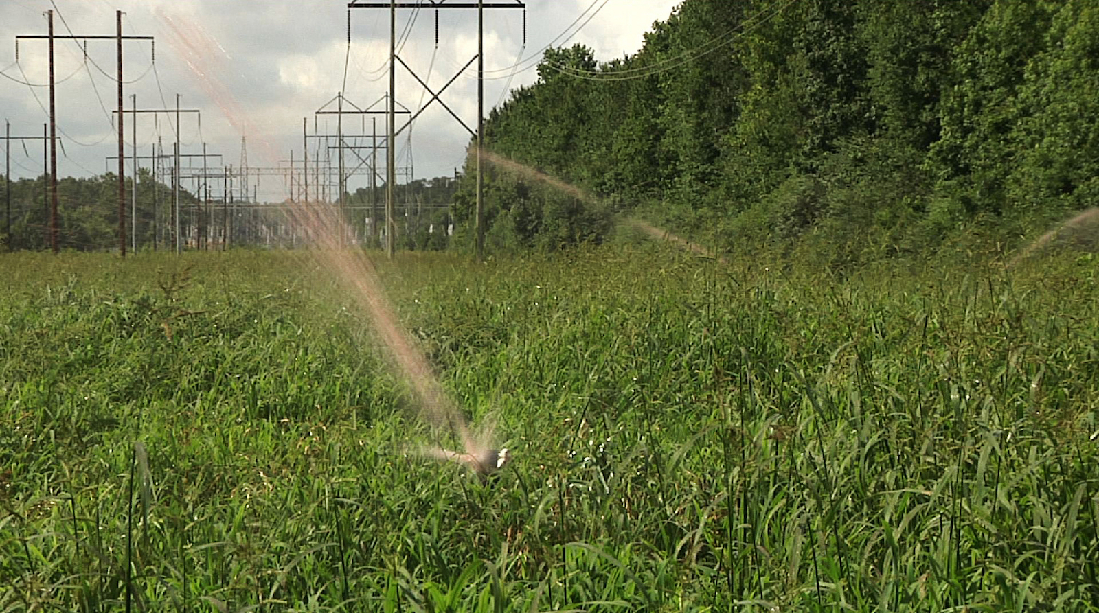 a photo of a field being sprayed with hog manure fertilizer