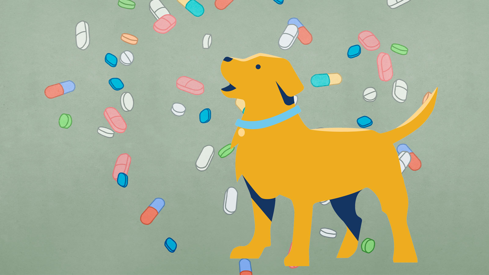 An illustration of a yellow dog on a background of vitamins and pills.