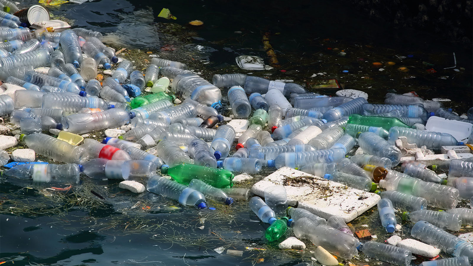 Plastic bottles and other trash floating in water