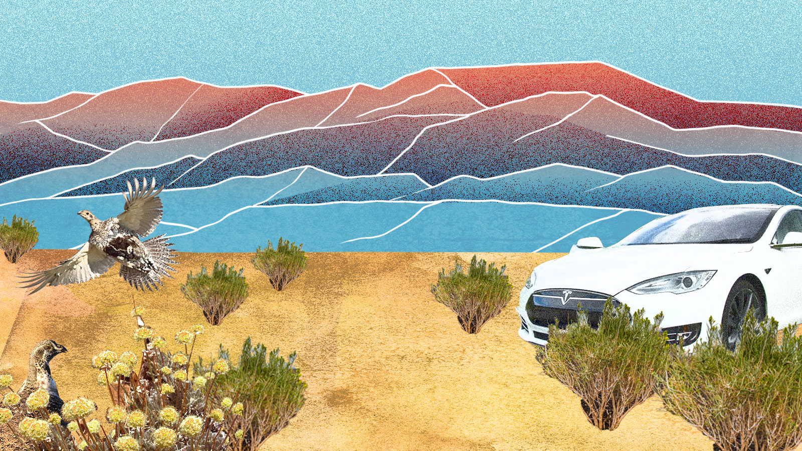 An illustration of Nevada's Thacker pass. In the background are hand-drawn mountains in sunset colors. In the foreground, an electric car is parked among patches of buckwheat and brush. A bird is about to take flight on the left side of the image.