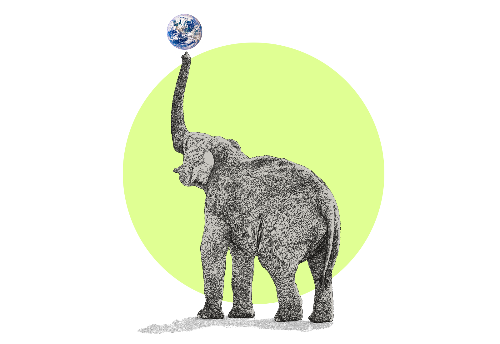 Illustration of an elephant balancing the Earth on the end of its trunk