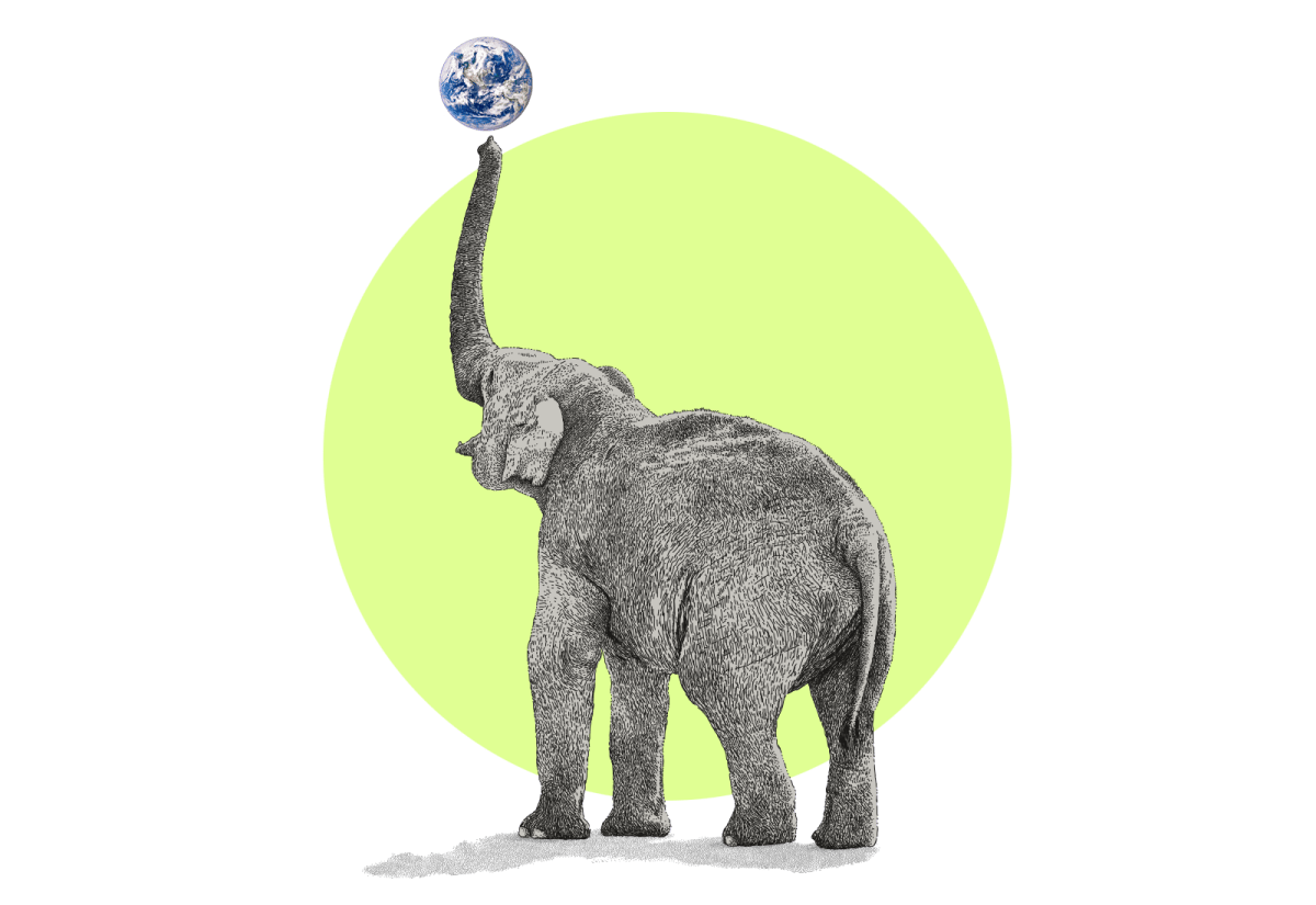 Illustration of an elephant balancing the Earth on the end of its trunk