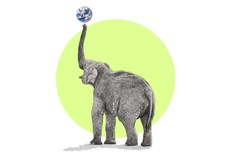 Illustration of an elephant balancing the Earth on the end of its trunk