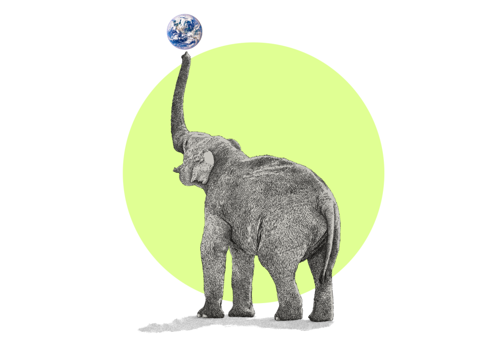 Illustration of an elephant balancing the Earth on the end of its trunk