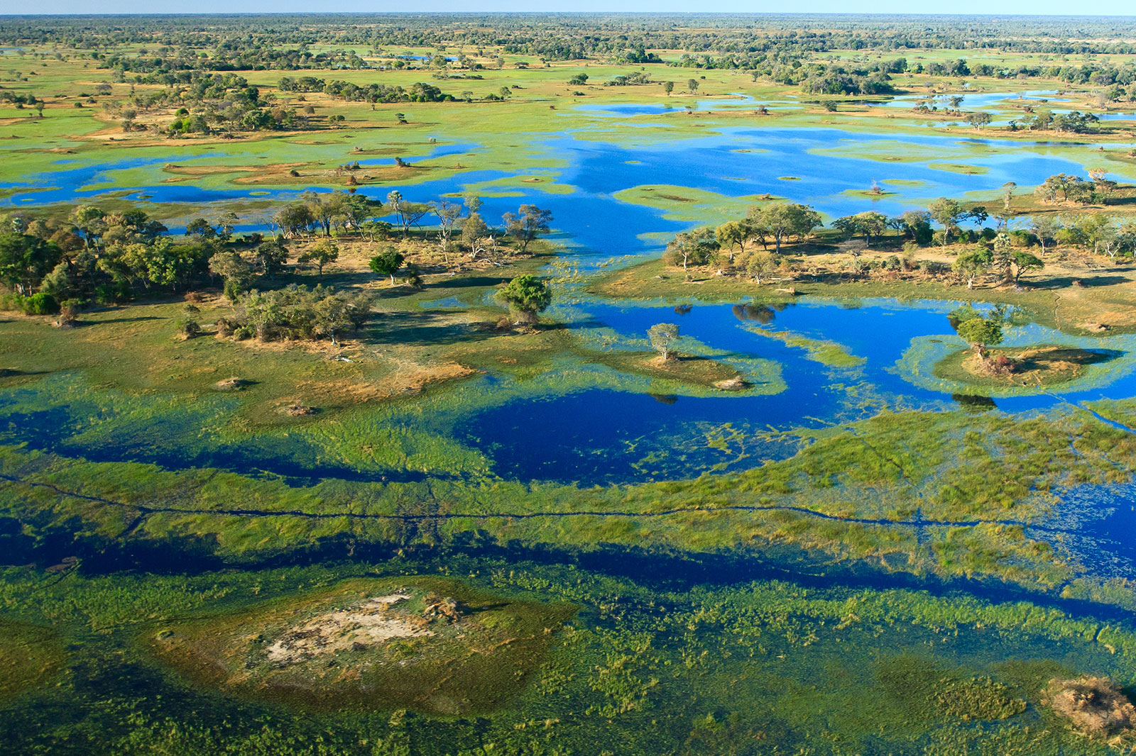 A Big Oil project in Africa threatens fragile Okavango region thumbnail