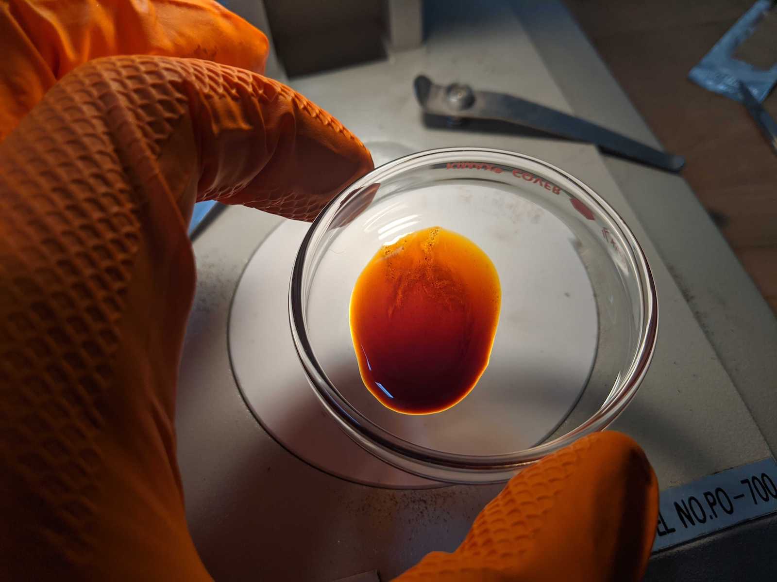 Gloved hands hold a petri-dish of bio-oil, one product of carbon removal.