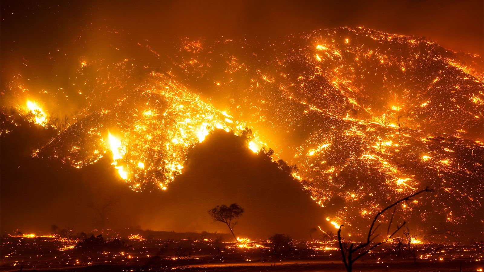 A photograph of the Bond Wildfire in California