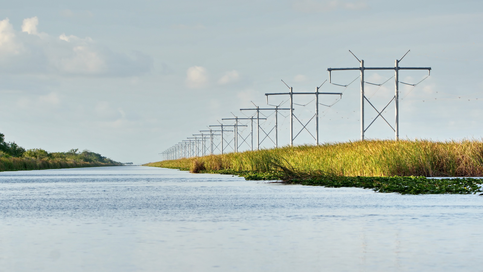 a photo of the Florida everglades with a wide expanse of blue, calm waters on the left, and a series of crisscrossing power lines on the right.