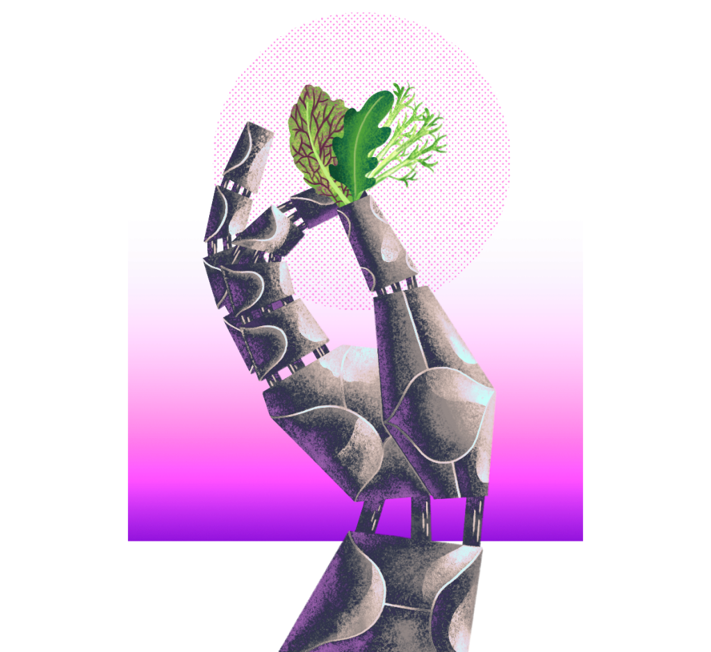 Illustration: a robot hand holding three leaves of baby greens