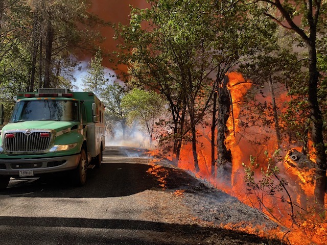 A photo of a green vehicle similar to a truck but with a short school bus-like cab in a wooded area. The right side of the image, very close to the vehicle, has many trees on fire.