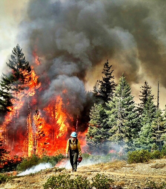 a photo of a lone female firefighter in full gear walking away form a burning forest and toward the camera view