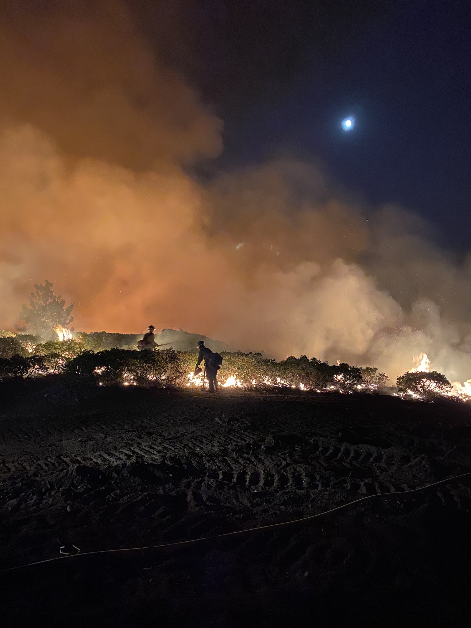 a photo of a firefighting crew at work at night under a smoky moonlit sky