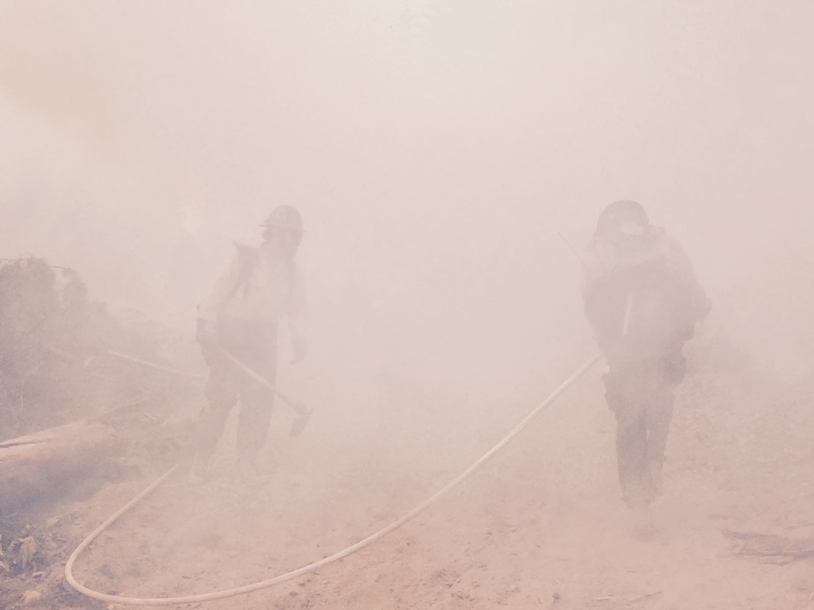 Forest Service Firefighters tackle a smokey section of California wildfires