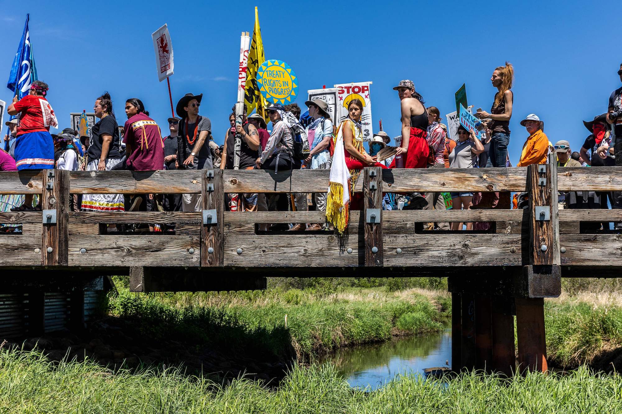 a large group of activists, many of whom are dressed in traditional indigenous clothing, stand on a wooden bridge over a river thick with green buhes