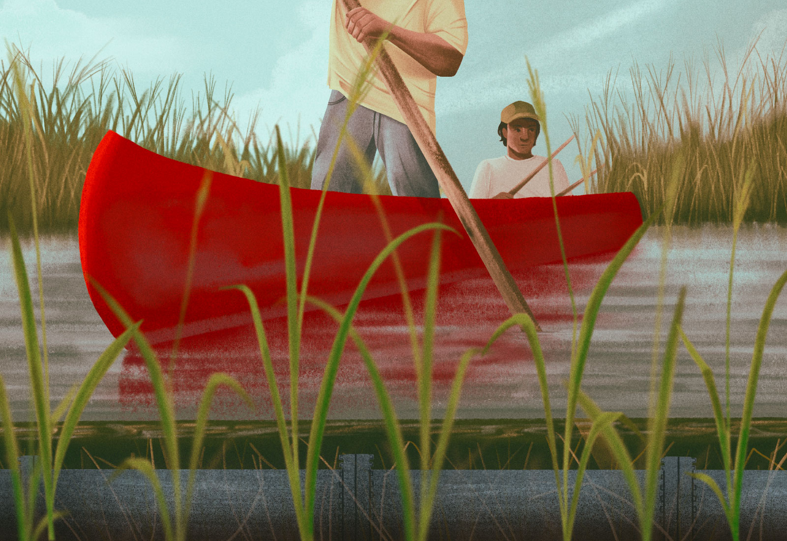 Illustration: Two First Nations men in a red canoe harvesting wild rice, with a pipeline under the water