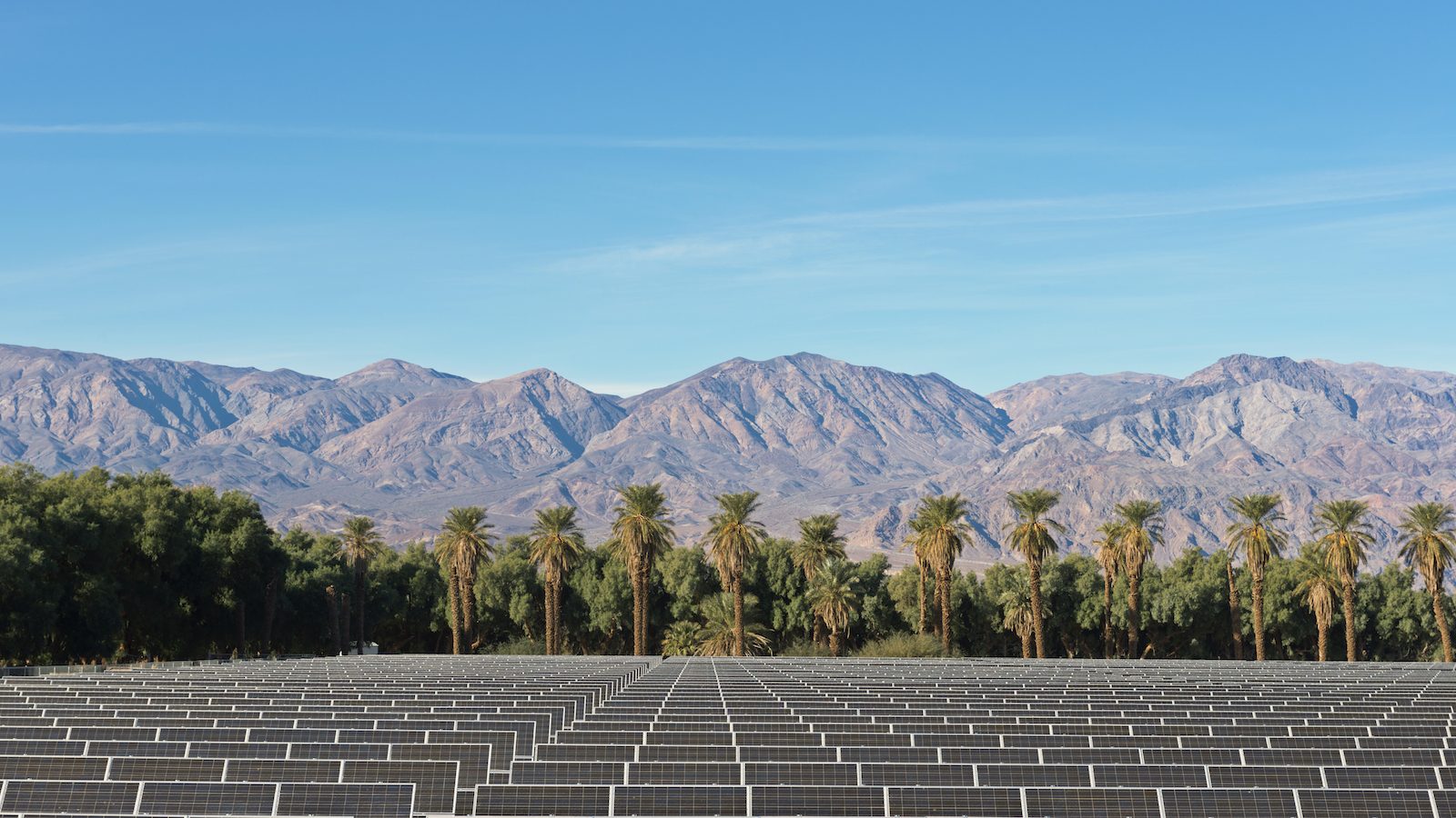 solar panels in front of palm trees and mountains