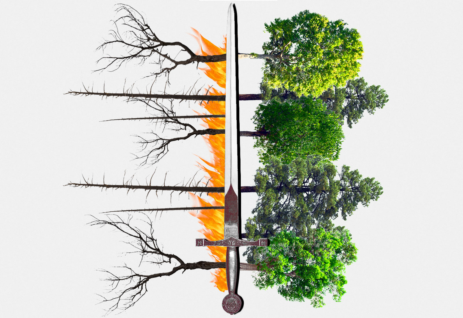Collage: A sword with burnt trees and fire on the left and green trees on the right