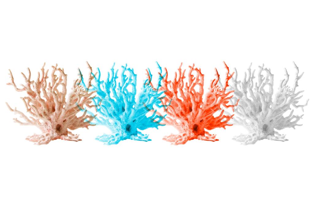Collage: Four pieces of coral in a row; one pink, one blue, one red, and one greyscale
