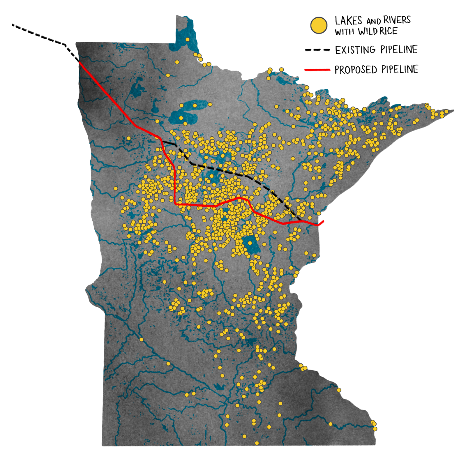 a map of Minnesota showing how the Line 3 pipeline would cut through wild rice grow areas, marked in yellow dots