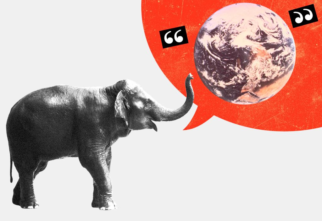 Collage: An elephant with a large red speech bubble with an Earth in quotes