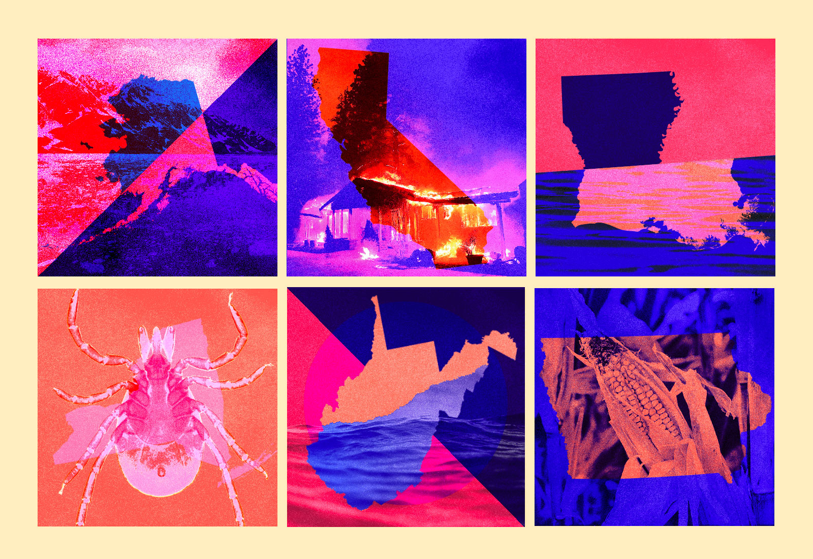 Collage: multiple states with photos depicting climate change issues