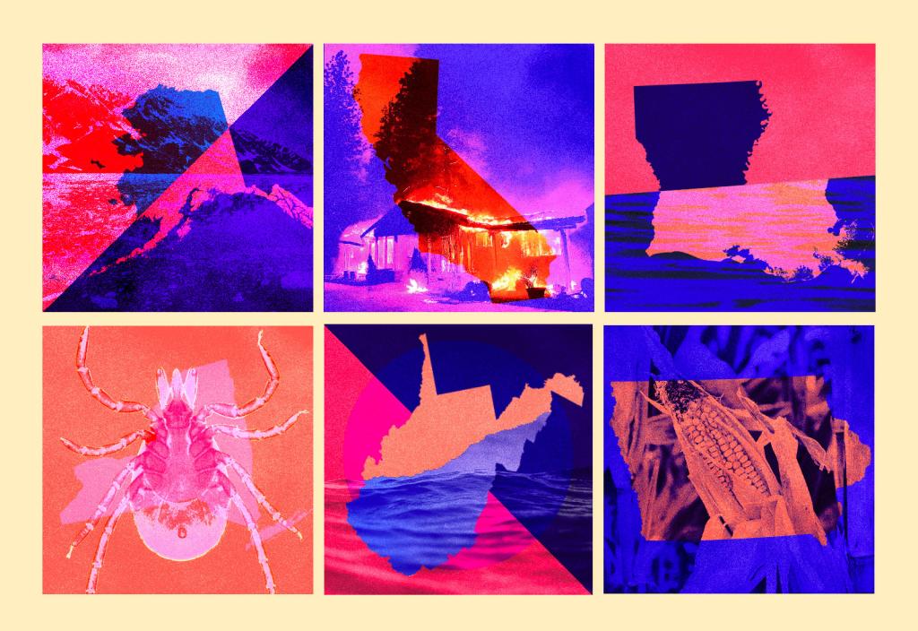 Collage: multiple states with photos depicting climate change issues