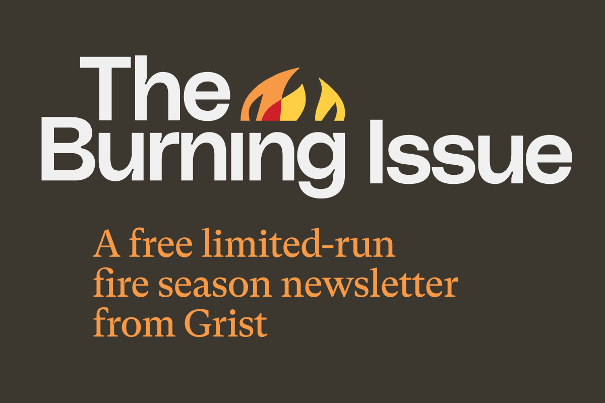 The Burning Issue