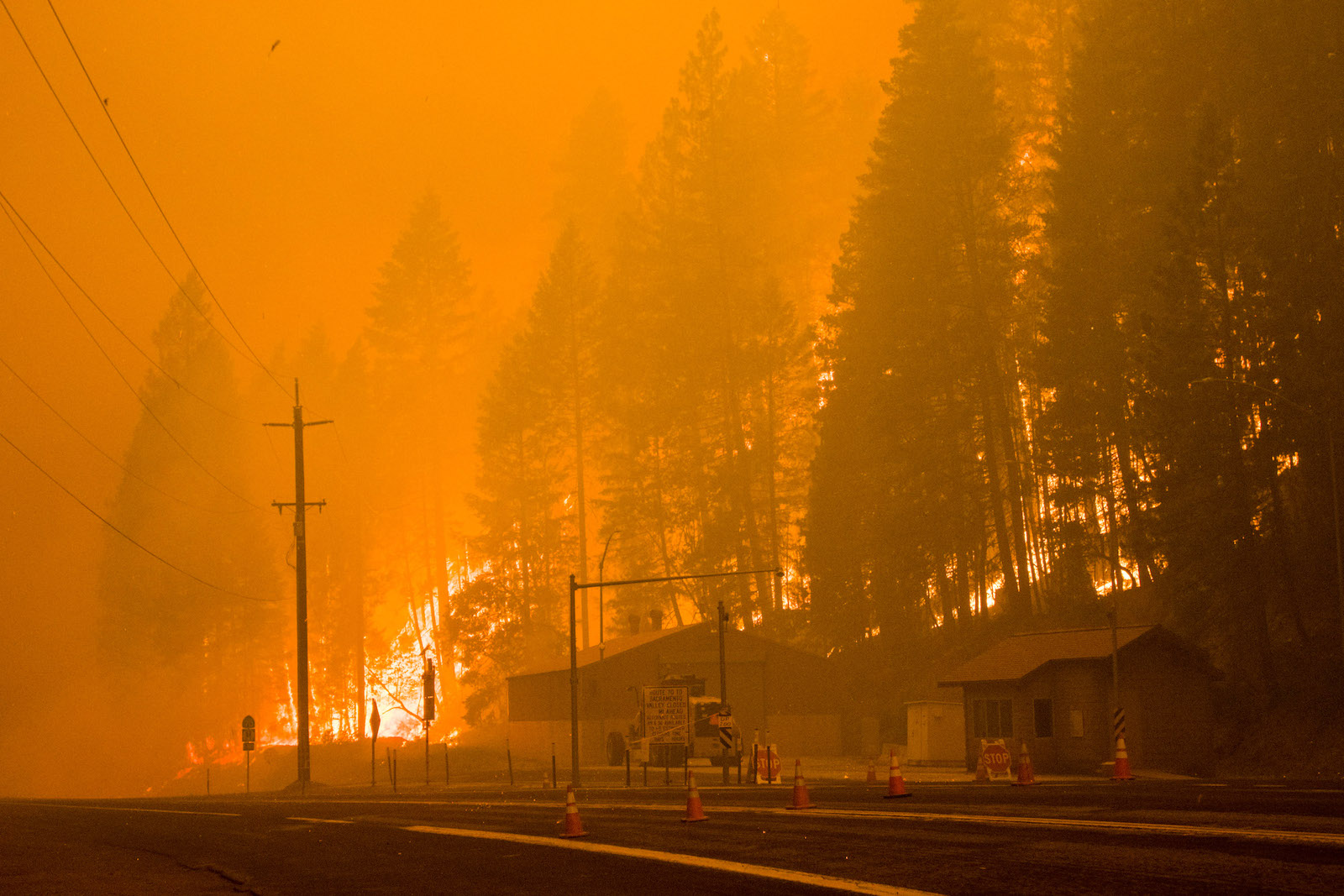 A highway with traffic cones and house-like buildings on the side of the road. Large wildfire flames engulf nearby trees. The whole scene is a burnt orange color due to smoke.