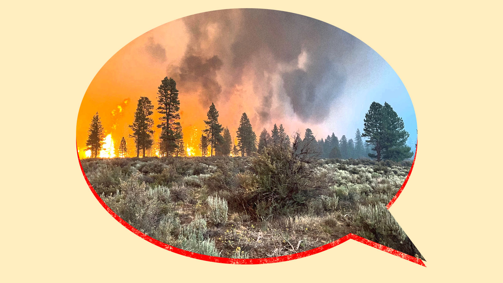 Collage: photo of a wildfire inside of a speech bubble