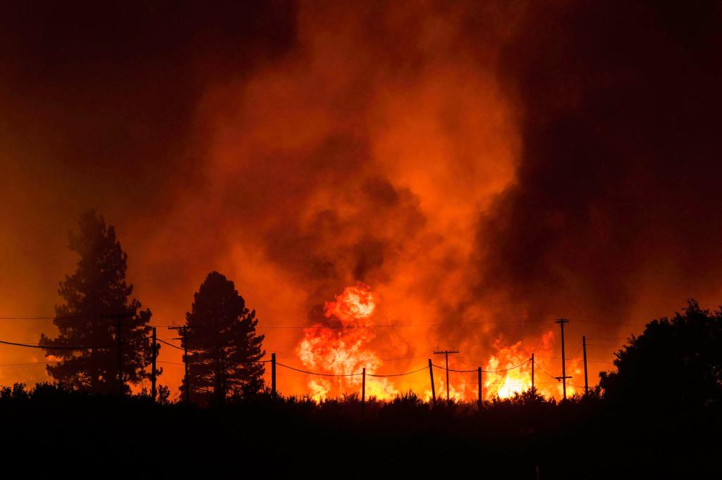a landscape scene where large, red flames burn behind trees and power lines