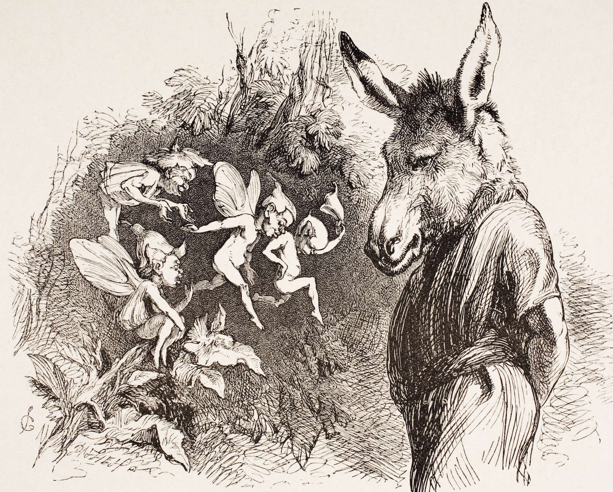 an illustrated man with a donkey head looks at a group of fairies